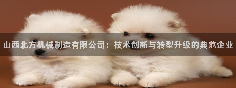 云顶国际是做什么的公司