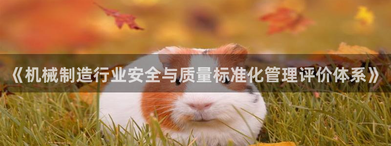 云顶集团网站多少