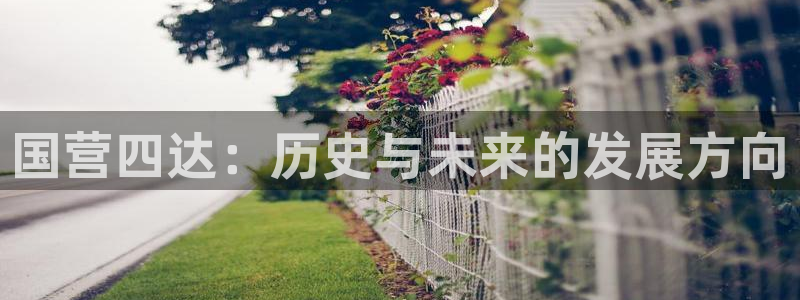 云顶最新公告