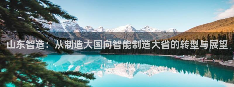 谁知道云顶的网站是多少