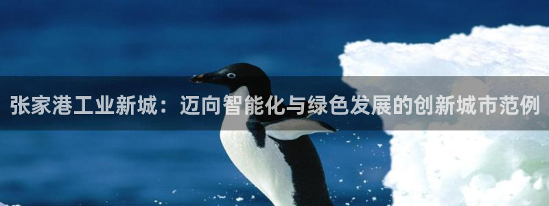 云顶国际club