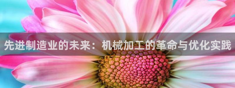 云顶国际广场房价