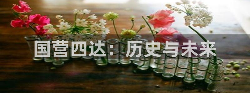 云顶国际app是什么软件