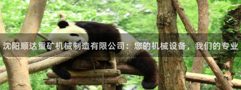 云顶国际app免费下载