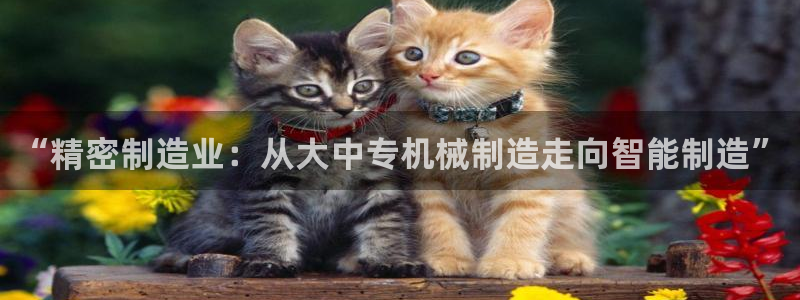 云顶国际服和美服通的吗