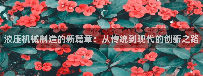 云顶国际服s9什么时候更新的