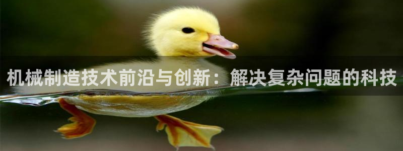 云顶集团有限公司招聘