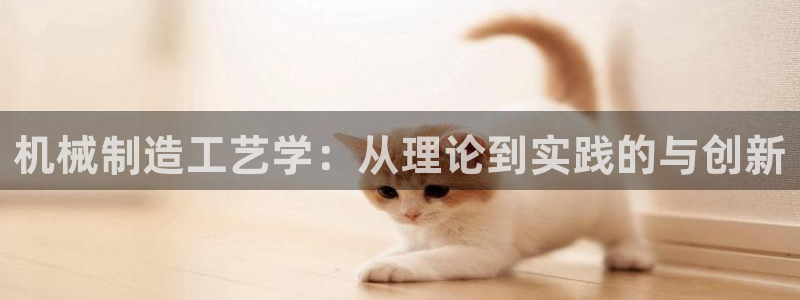云顶国际大酒店位于哪个街道