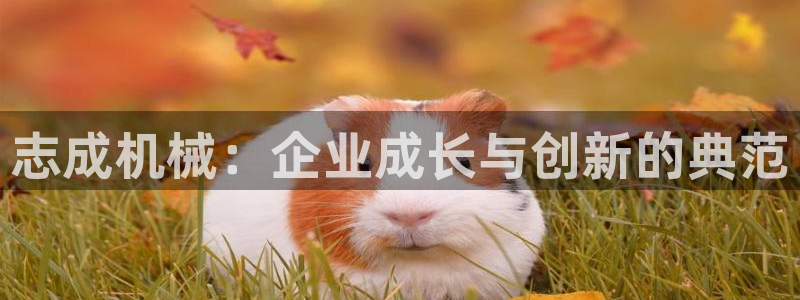 云顶国际大酒店在哪里