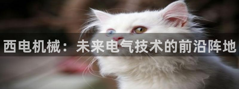 云顶国际网站进不去了