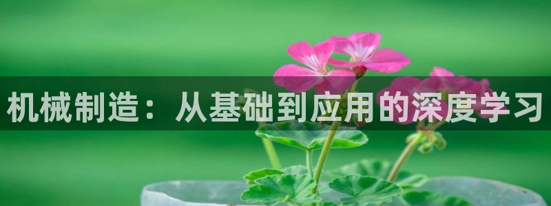 云顶集团公司董事长是谁