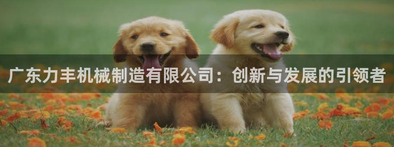 云顶国际服怎么更新