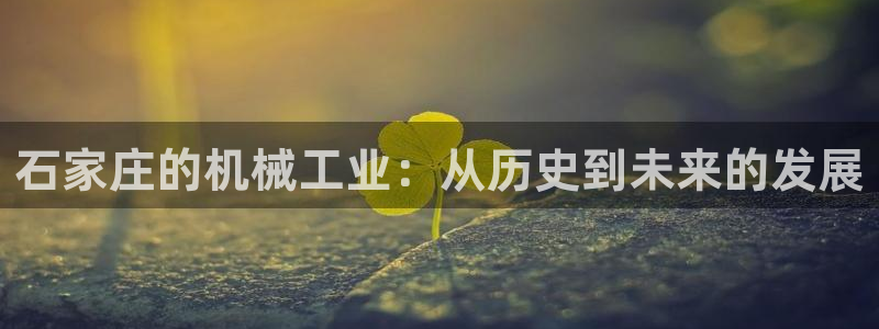 国际服端游云顶在哪下载