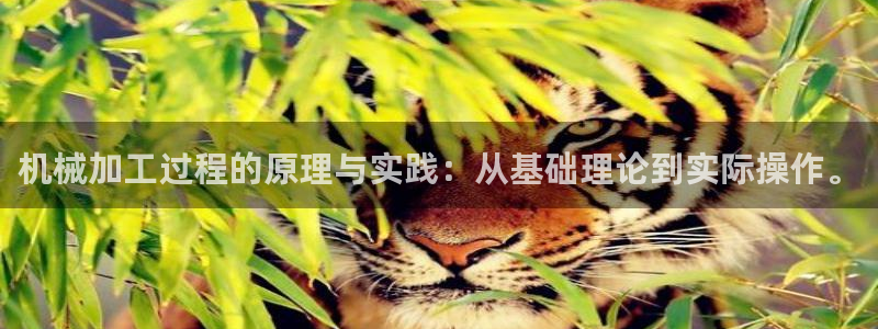 云顶国际网站怎么进不去了