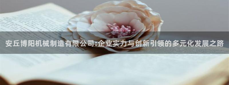 云顶集团有限公司简介资料