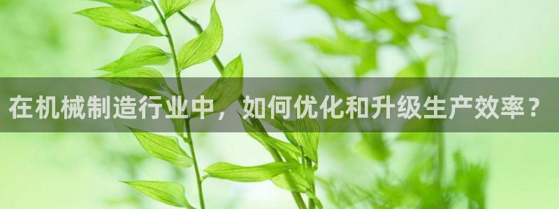 云顶国际软装公司怎么样啊