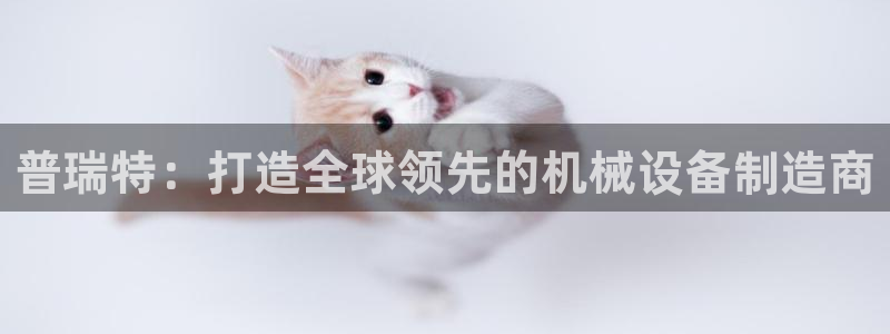 云顶电子游戏网站