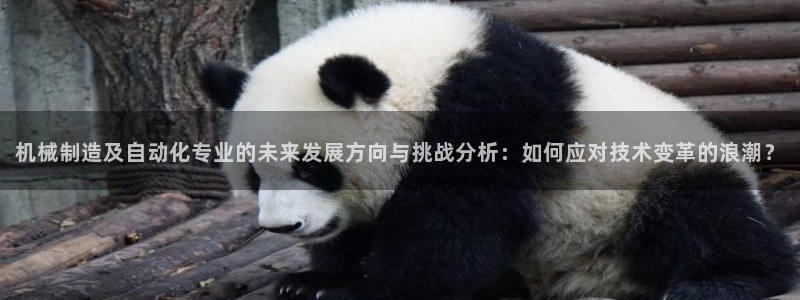 云顶国际酒店老板是谁