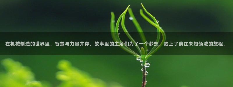 云顶国际实业有限公司