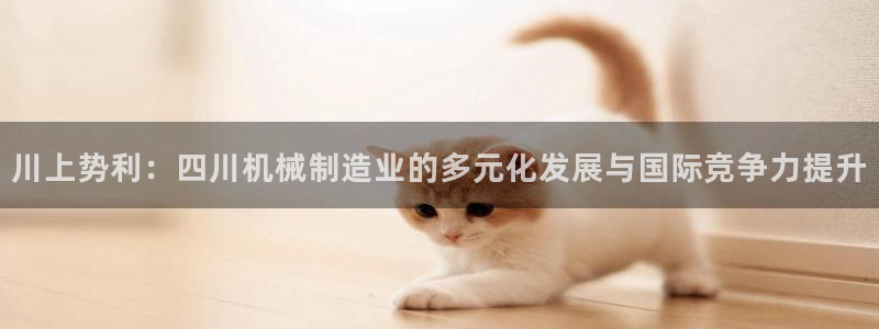 云顶国际服服务端错误