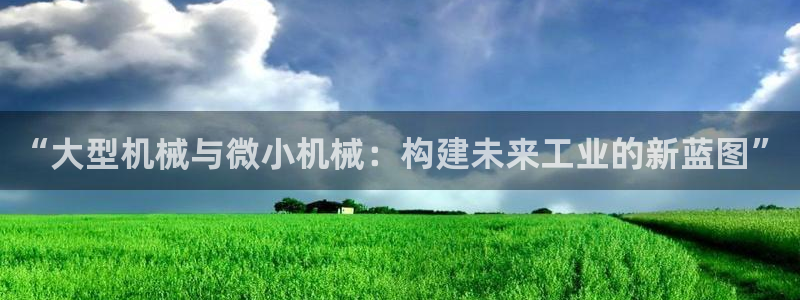 云顶集团总裁