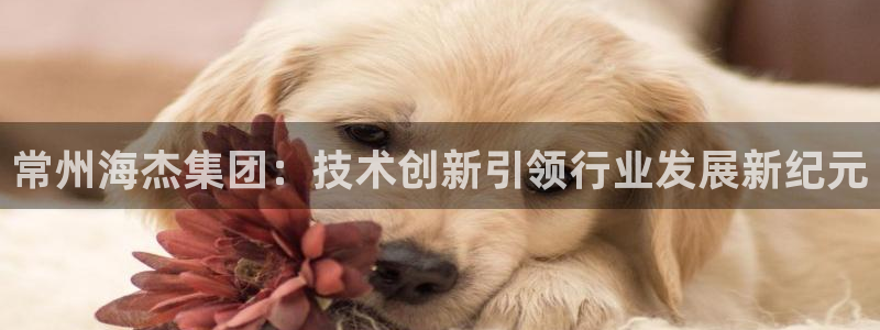 云顶集团简介资料