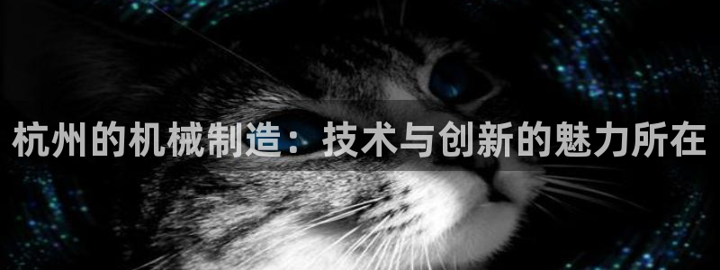 云顶国际黑款
