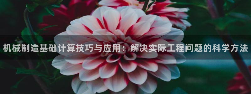 云顶8888
