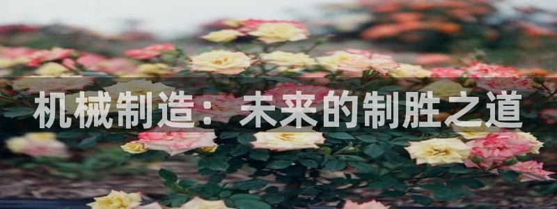 云顶集团游戏app特色
