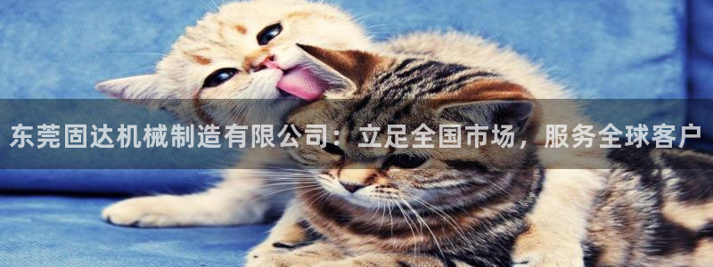 云顶国际服汉化