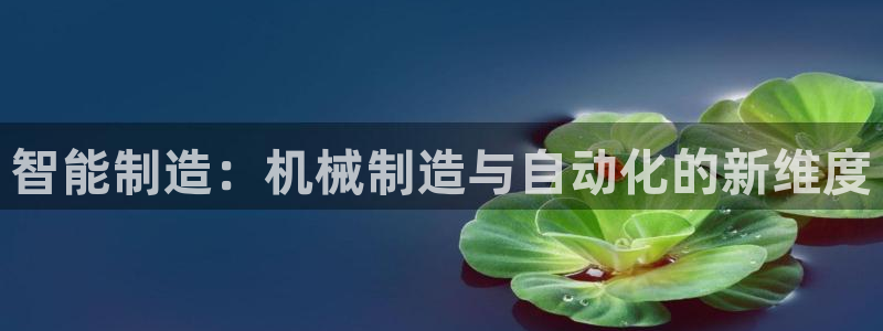 云顶集团王天才简介