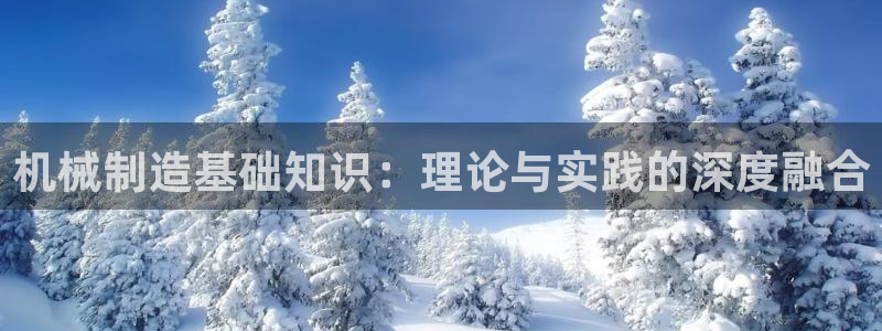 云顶控股集团有限公司