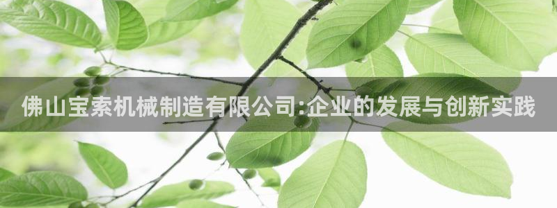 552211云顶网站