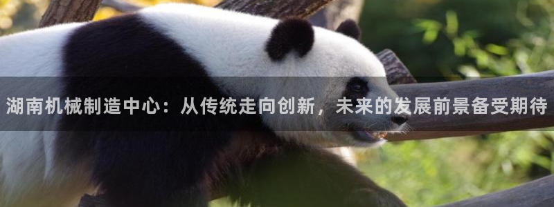 云顶集团林致华