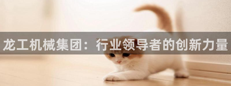 云顶国际酒店位置