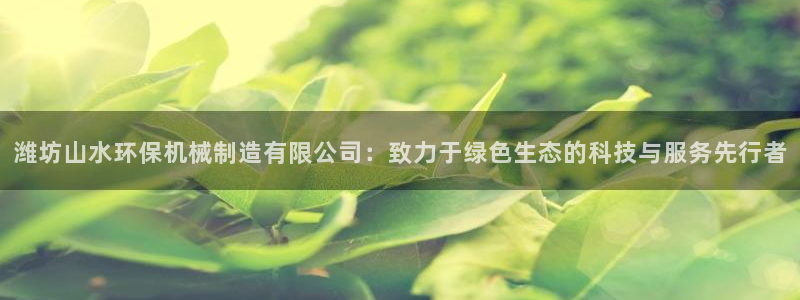 云顶国际游戏官方网站