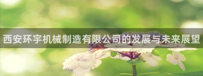云顶mg网址