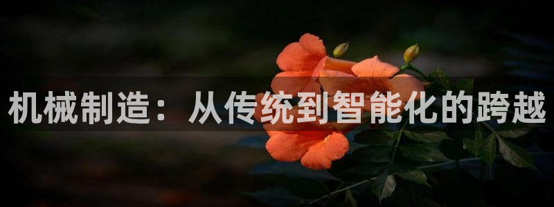 云顶国际培训中心学费