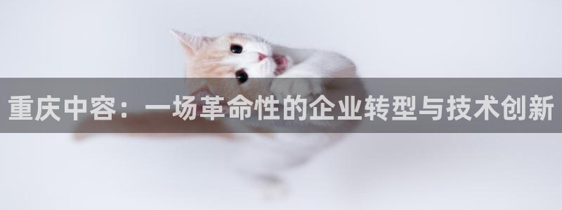 云顶国际服汉化