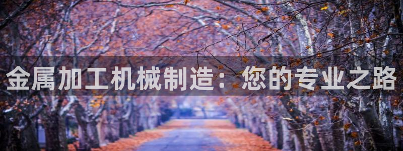 云顶国际平台网址多少