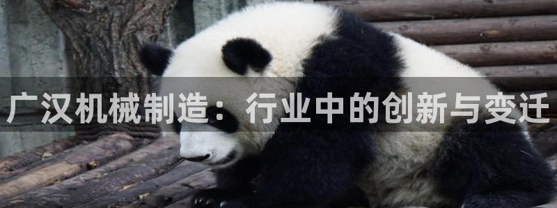 云顶国际城手机网址是什么