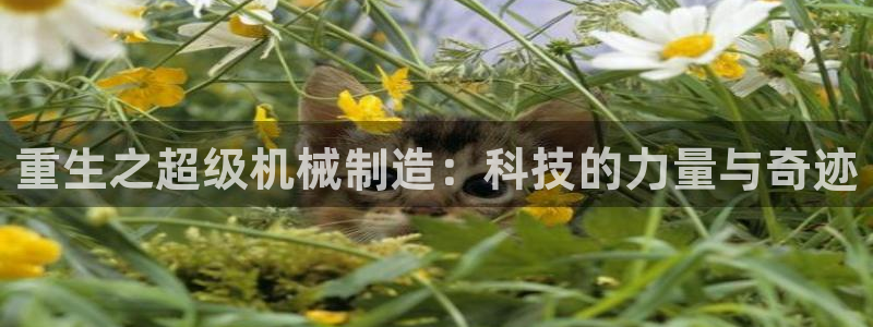 云顶国际电子注册平台官网