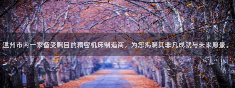 云顶国际城手机网址查询