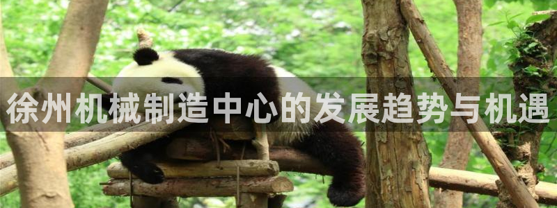 云顶国际网站是多少