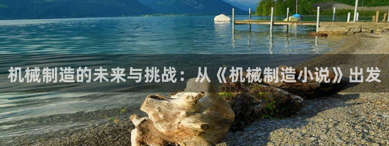 云顶集团中国分公司