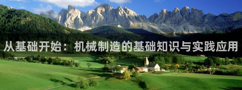 云顶国际服阵容