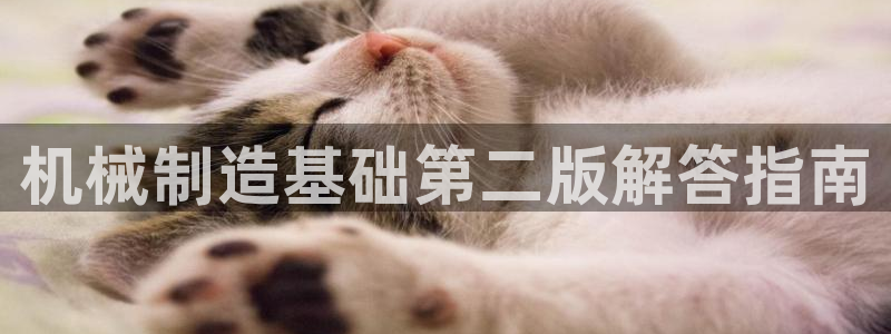 云顶国际旅行社官网