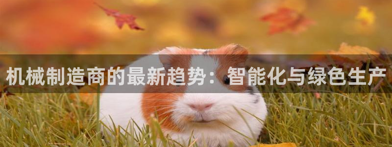 云顶国际公馆是公寓吗