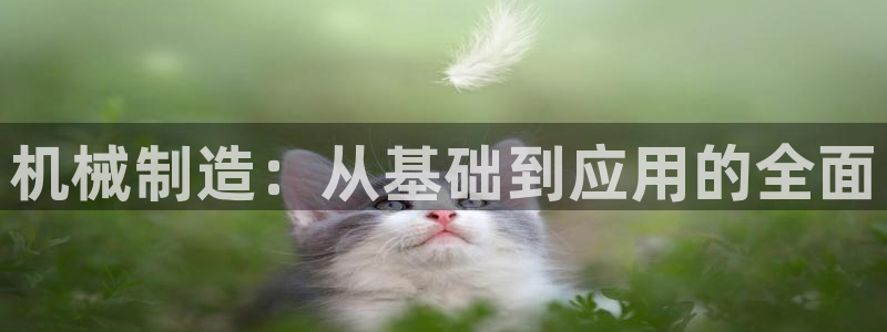 云顶国际酒店位置在哪