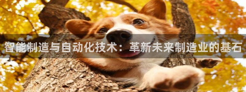 云顶国际大酒店位于哪里